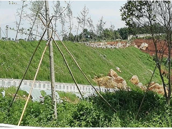 西游記公園噴混植草